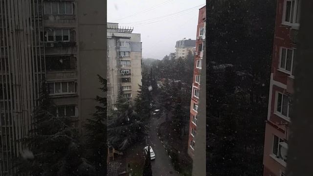 Первый снег в Ялте 16 февраля.
