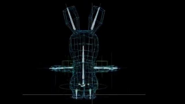 rig lapin