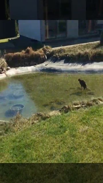 Как так то вообще?!.mp4