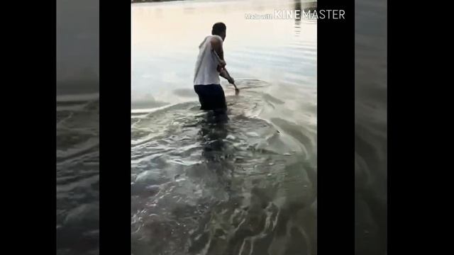 Ловля трофейных Амуров 2019