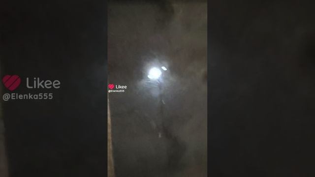 За моим окном целый день ⛈️ валят снежинки ❄️❄️❄️