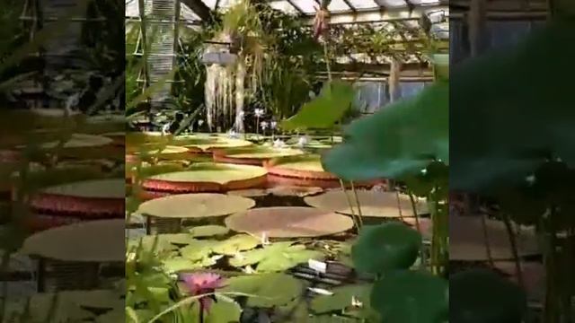 29 июня 2021 г.