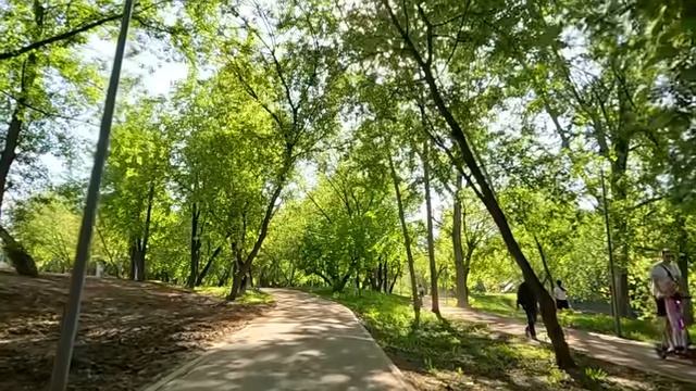 Оставшись без работы, обреченно ехала в глушь… А увидев в вагоне мужа, похороненного 3 года назад…