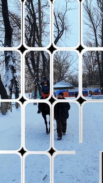 Тамбовский ипподром