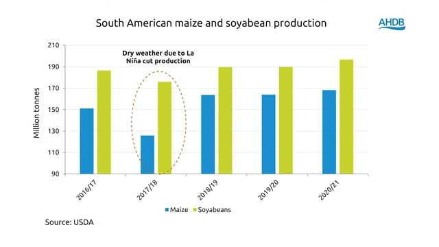 Grain and oilseed price rally continues into 2021 – Cereals & Oilseeds Market Update – February 202