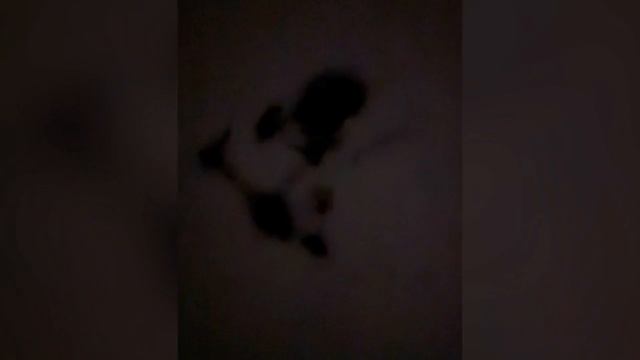 ⚡️ Для борьбы с вражескими беспилотниками в Горловке создана спецгруппа, которая уже уничтожила два