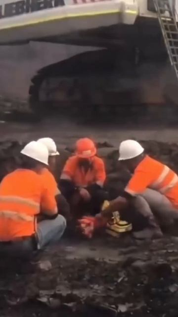 Аргенбы #Россия #Америка #Африка #Китай #топ #тренд #хайп #шоу #фильм #сериал#украина #мультик #реал