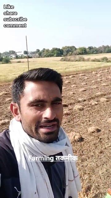 Chane ki kheti | चने की खेती | chickpea farming | #farmingtaknik #Ashishmorchhale #shorts
