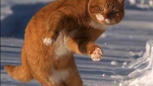 Новая клубная музыка . Реальный хит! Обожаю!