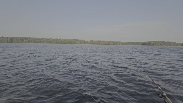 1000147846.mp4
