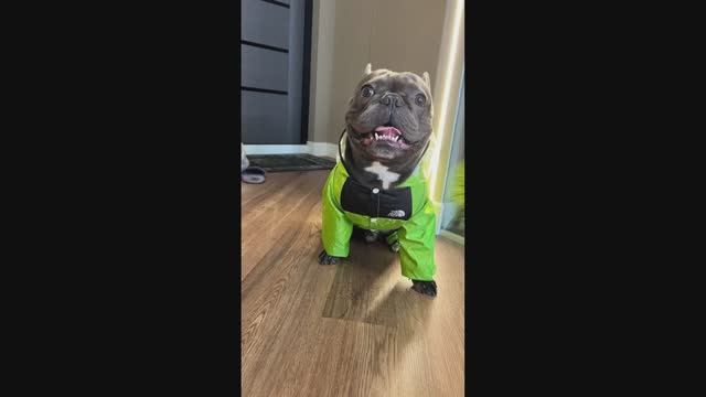 Милашки с Маркетплейса 15 / Cuties from the Marketplace 15