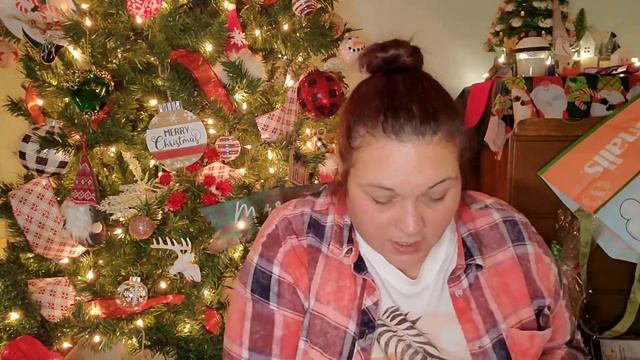 Dollar tree 🌳 Haul Part 2.    12/4/21