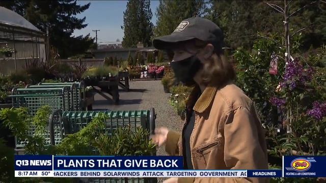 Gardening with Tim