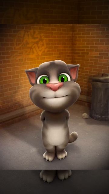 Me and Talking Tom Cat