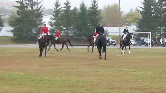 Коні і люди.Суми.Horse.