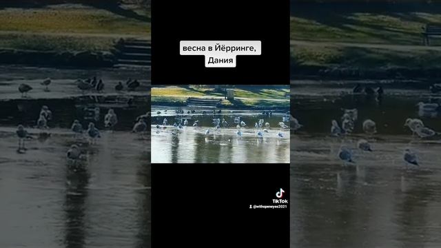 Вот и в Данию пришла весна. Прогулка по весеннем парку Йёрринга.