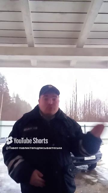 Брат бобер