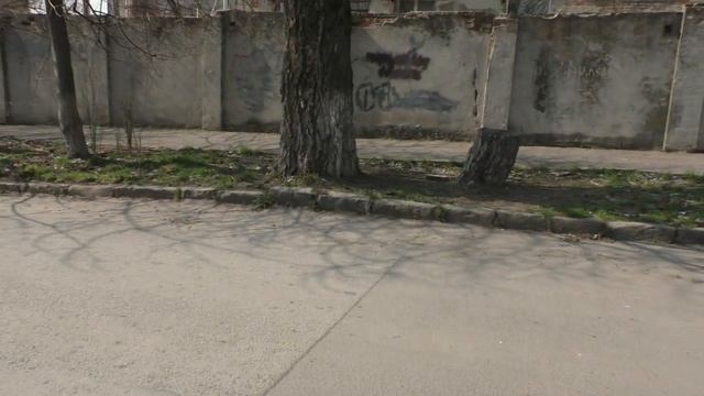 22.3.23. Сергей РУЛЁВ: репортаж ПРО ПНИ.
