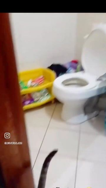 Смешные видео, юмор и приколы