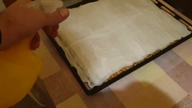 Проращивание пшеницы