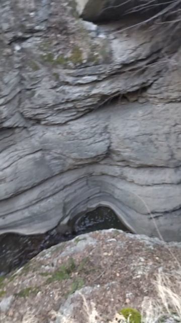 Речка лес р.Тумсой-Эрк