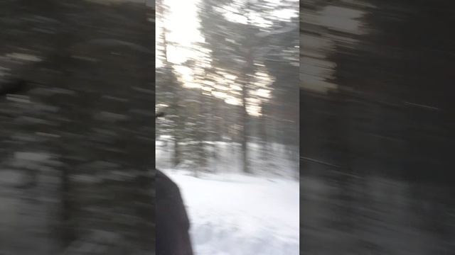 Лежать или работать.