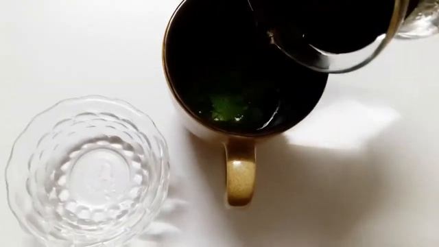 How to grow mint at home part II |Plastic Bottle Garden |Herb Garden| Kitchen Gardening|