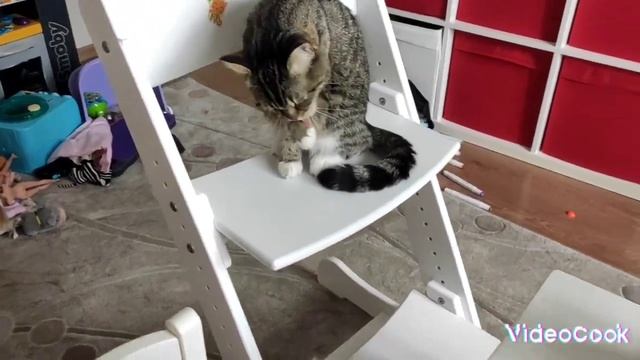 Нас не посадят в тюрьму, и Алёну тоже!!| Мы получили пятёрки!!| Ура!!!|@pets-xn6qc!