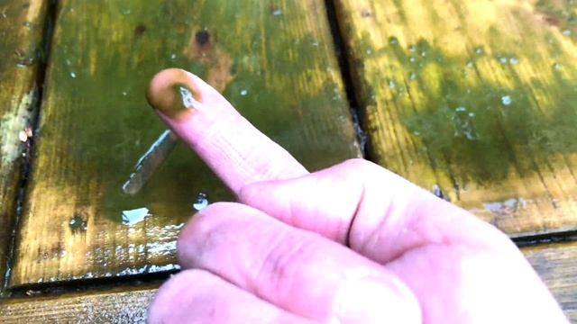 DIY DECK WASH, Plant, Pet and Eco friendly