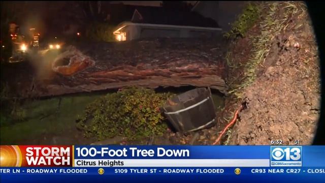 100-Foot Tree Falls In Citrus Heights