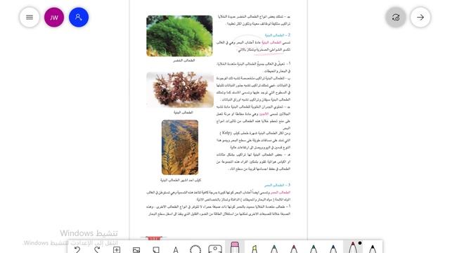 علوم الثاني متوسط/ الطحالب/ الكورس الاول( الاحياء)#ست_وفاء_البصرة