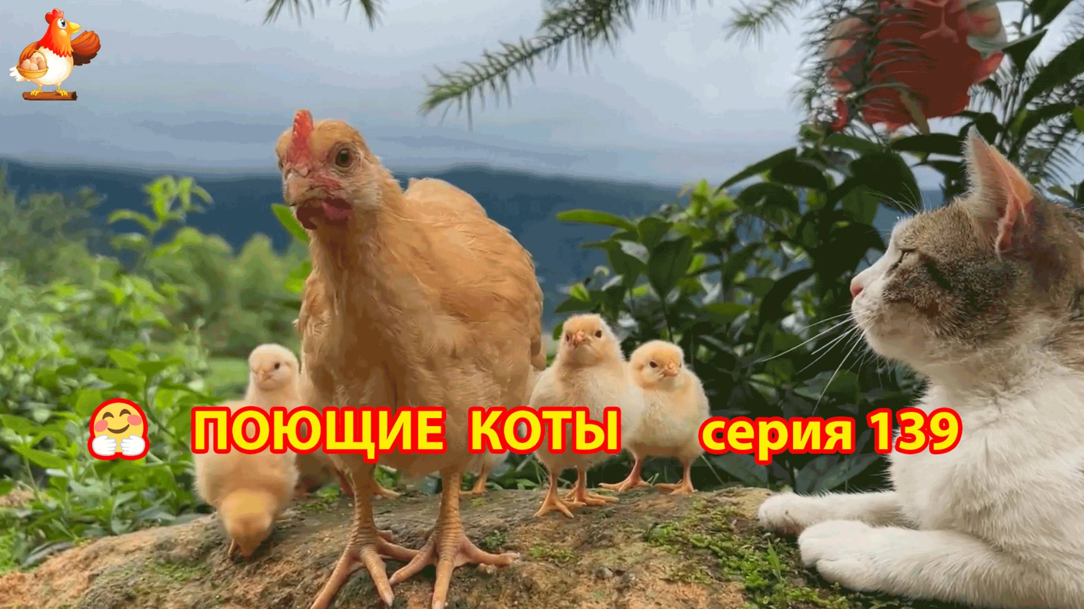 Крутые коты у птичьего двора серия (139) 🐈🐈⬛😹 Природа Абхазии и подворье с птицами и животными ❣
