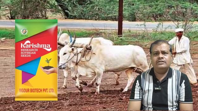 सोयाबीन चारदाणी सर्वात जास्त उत्पादन देणारी हि टॉप वाण /सोयाबीन वाण /Soyabean van