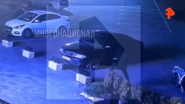 Боевики сегодня утром пытались убить экс-начальника полиции Карабулака в Ингушетии