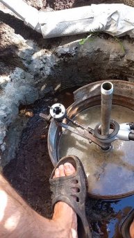 Клупп или плашка?