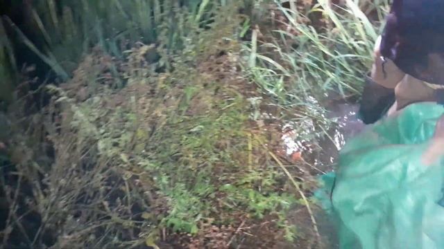 Soi Đêm Sau Trận Mưa Rào | 35 Vlog