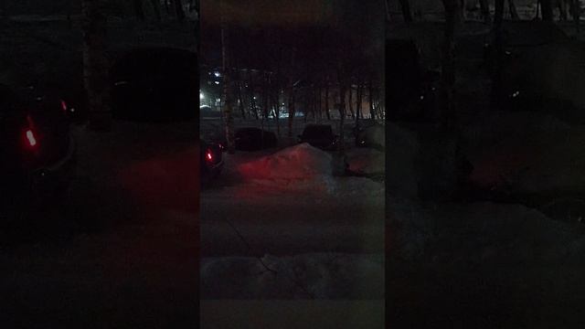 Выпавший снежок радует глаза My favorite yard
