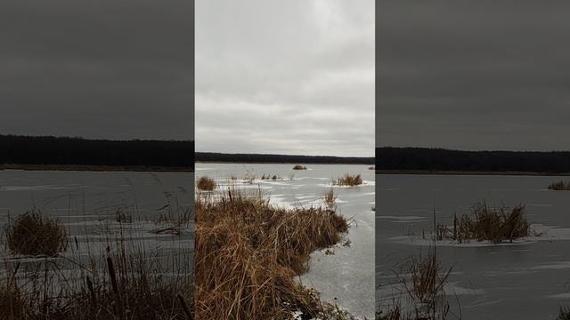 VID_20241207_111428