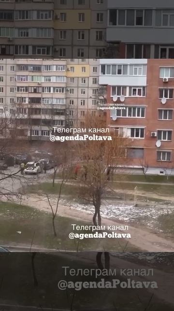 ✔️ Очередного "добровольца" для ВСУ отловили сотрудники ТЦК во время выгула собаки в Полтаве