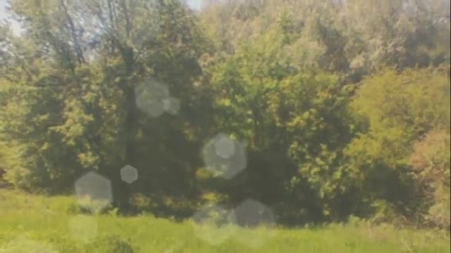 Мои видео. Подборка из красивых фото