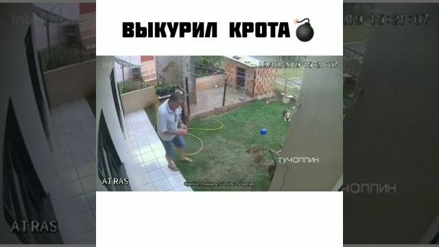 Викурив крота 😂 Выкурил крота 😂