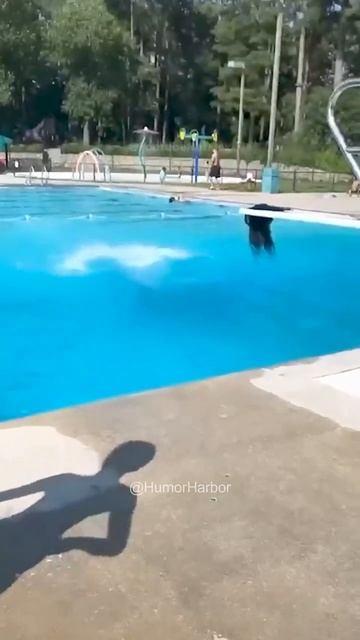 👆funny moments