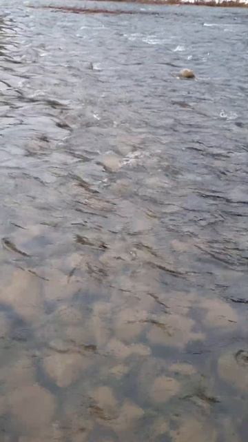 Нугуш горная река.