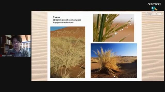 Namib Desert