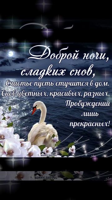 Спокойной ночи!