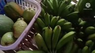 Fresh Fruits / Papaya / Banana / Guava / Divina Fe Channel
