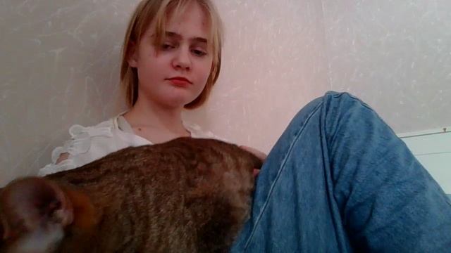 Moment🤣🤣🐱