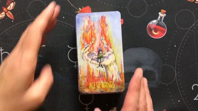 The Shadowland Tarot (Walkthrough)
