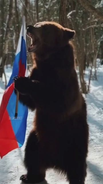 Медведь поёт гимн России