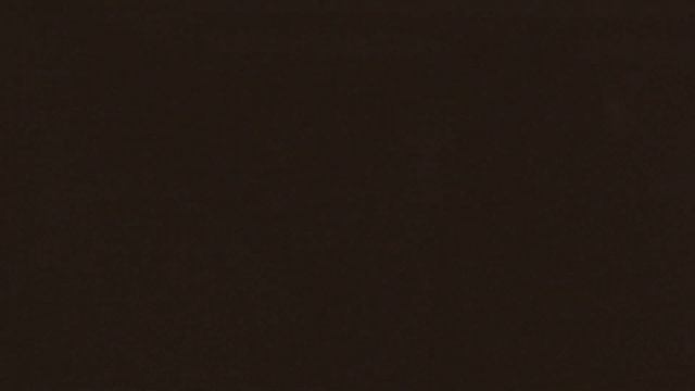 Björk surprise DJ set at Le Guess Who? 2019